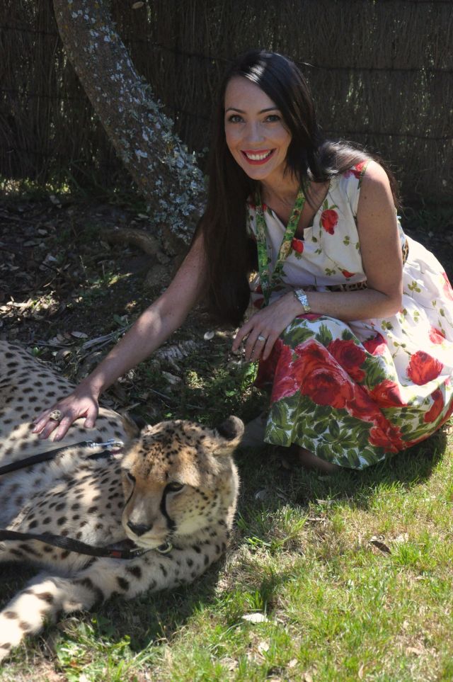 Charlie is 9 and a half, he likes sleeping and lazing in the sun.